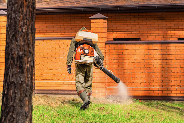 Trusted Cockroach Control service in Mabton, WA - Nex Pest Control
